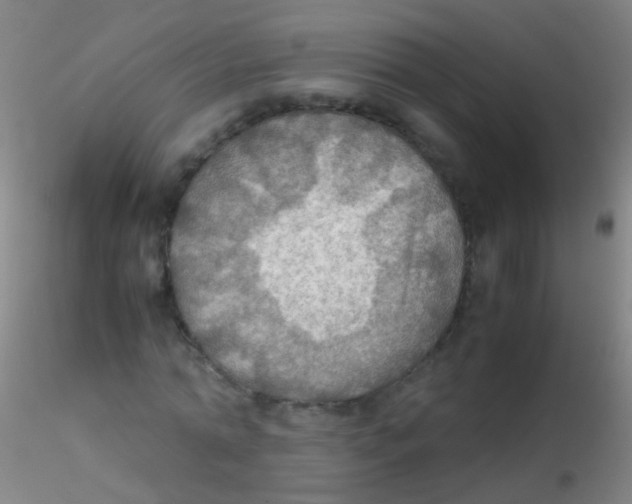 X0000115190774200911251419