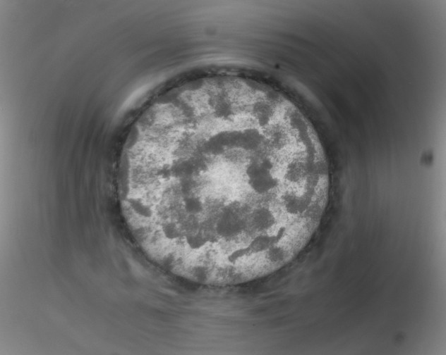 X0000115190775200911251419