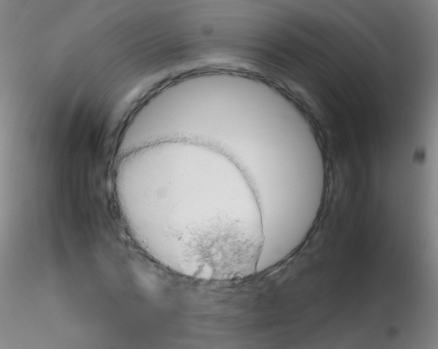 X0000115190776200911251419