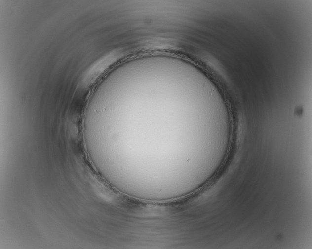 X0000115190777200911251419