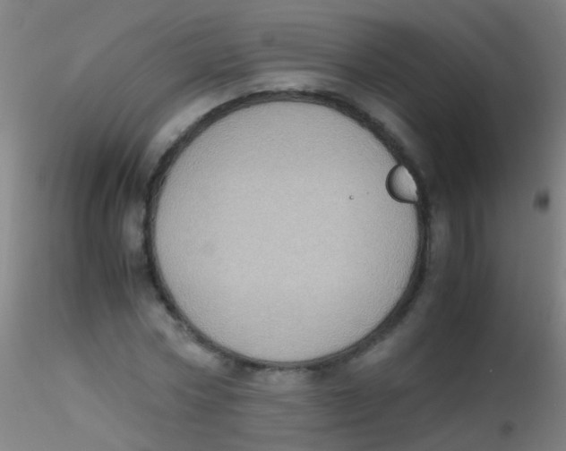 X0000115190778200911251419