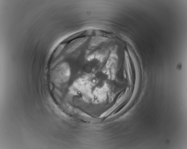 X0000115190779200911251419