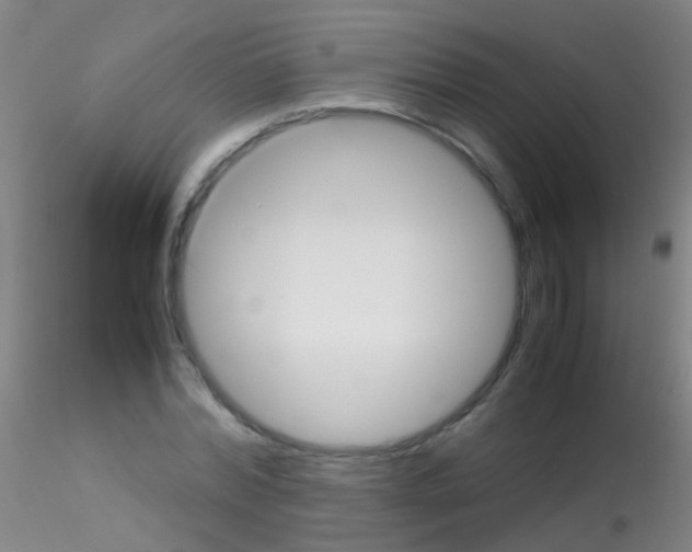 X0000115190780200911251419