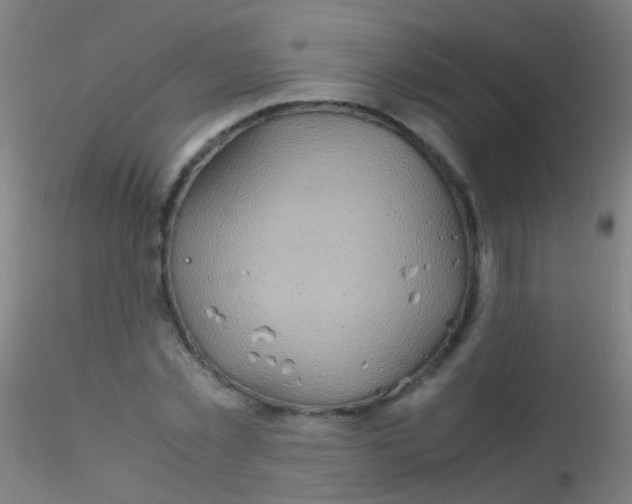 X0000115190781200911251419