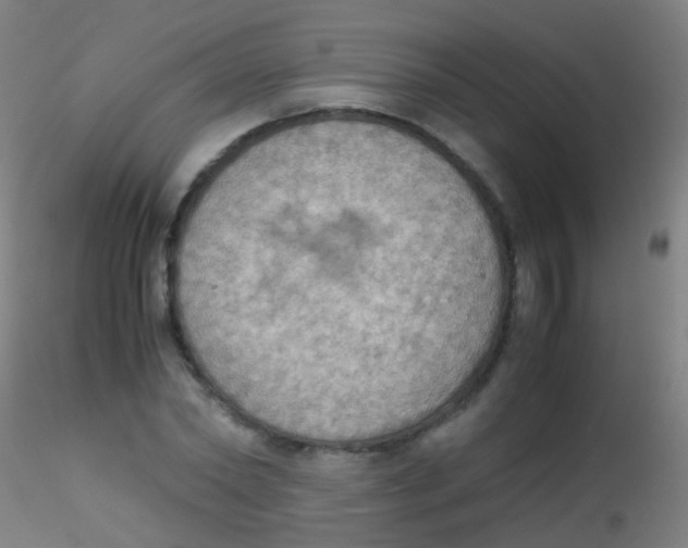 X0000115190782200911251419