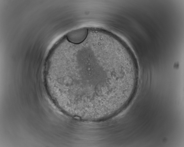 X0000115190783200911251419