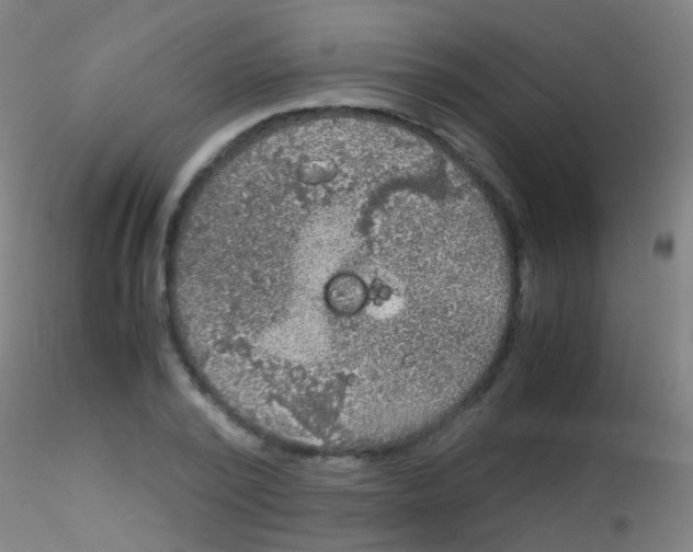 X0000115190784200911251418