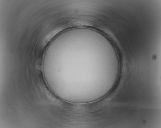 X0000115190785200911251418