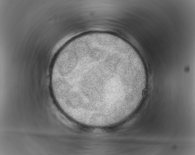 X0000115190787200911251418