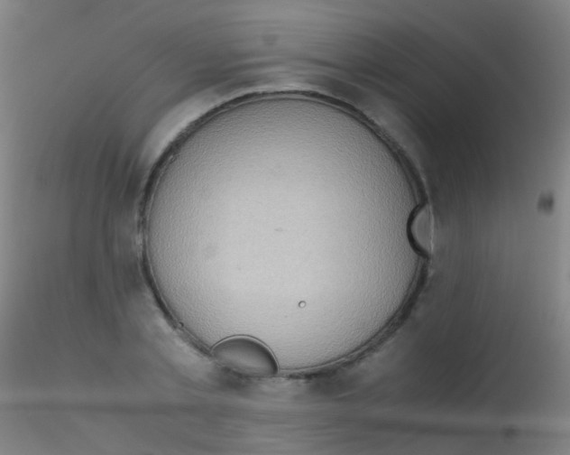 X0000115190789200911251418