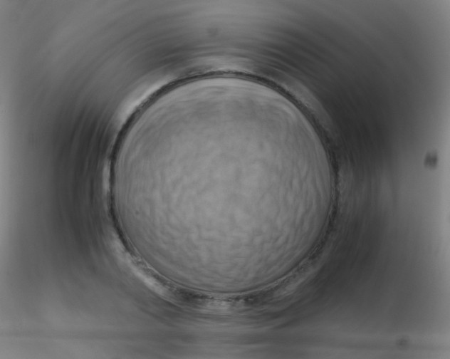 X0000115190790200911251418