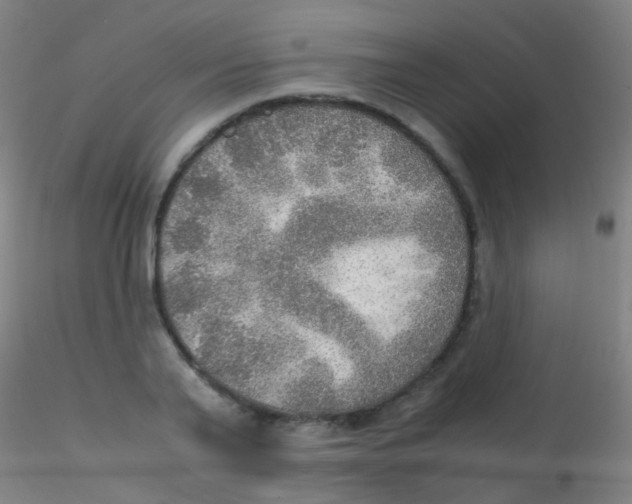 X0000115190791200911251418