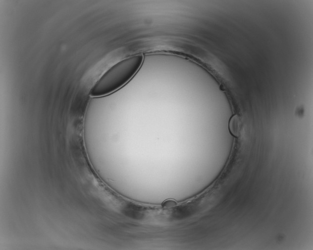 X0000115190793200911251418