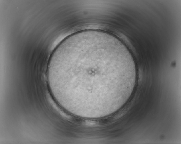 X0000115190794200911251418