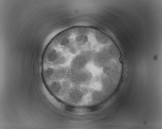 X0000115190795200911251418