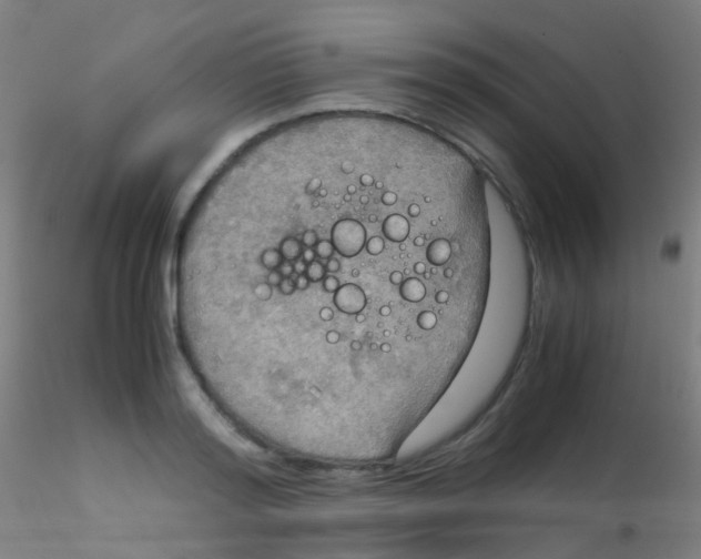 X0000115190796200911251418