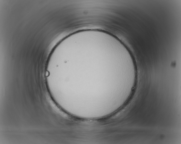 X0000115190797200911251418