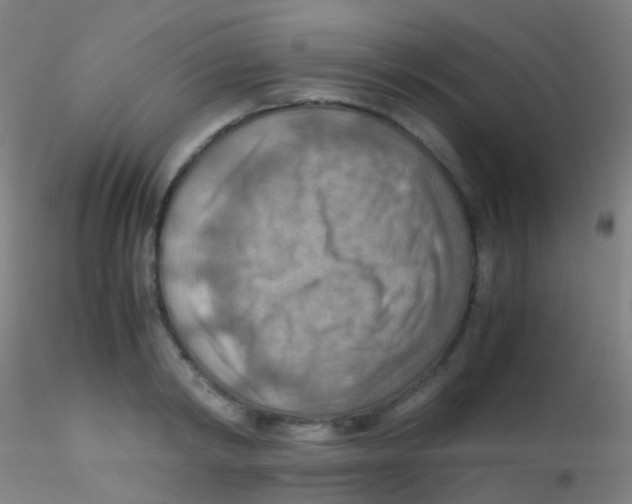 X0000115190798200911251418