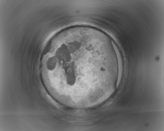 X0000115190799200911251418