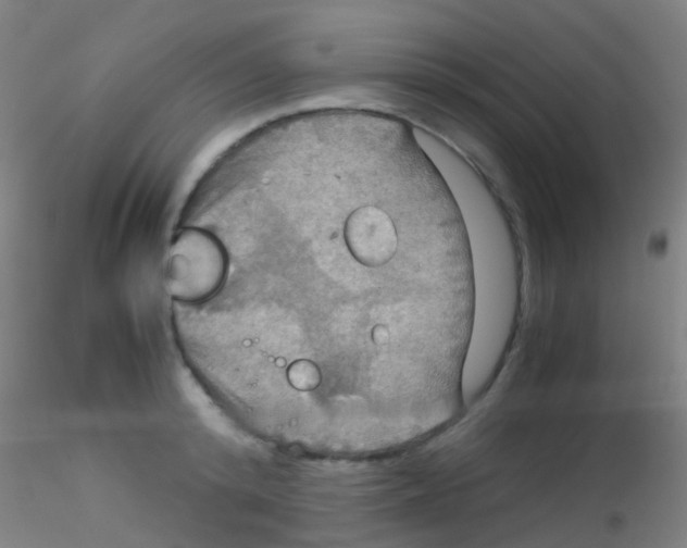 X0000115190800200911251418