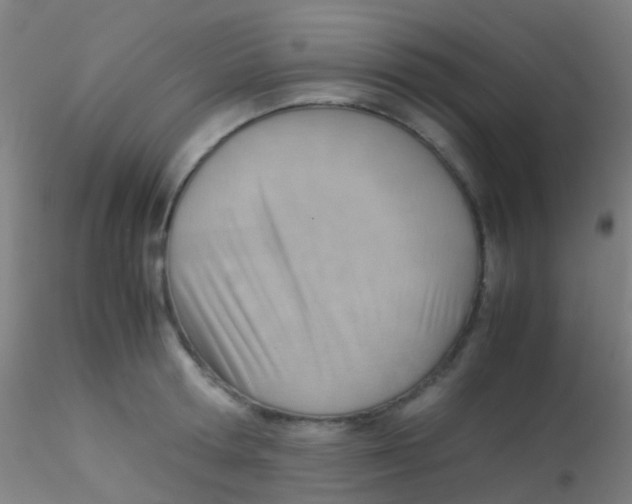 X0000115190802200911251418