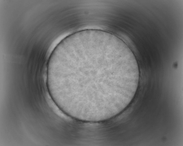 X0000115190804200911251418