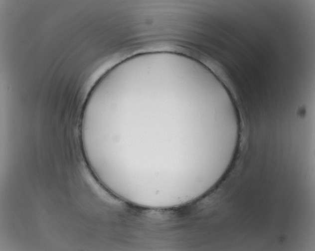 X0000115190805200911251418