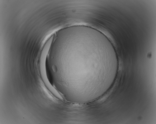 X0000115190806200911251418