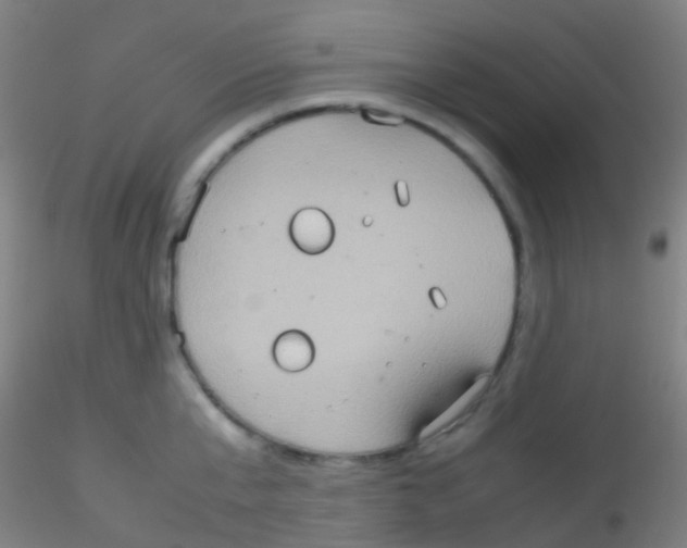 X0000115190807200911251418