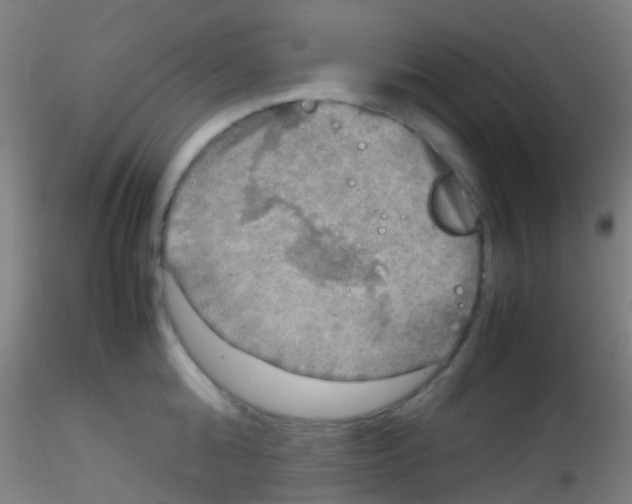 X0000115190808200911251418