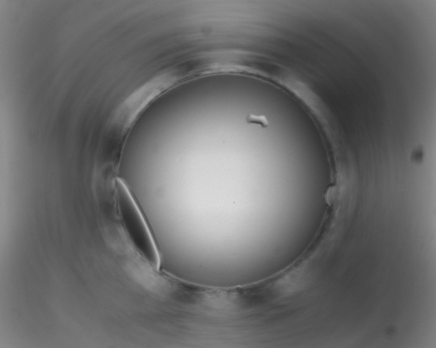 X0000115190809200911251418