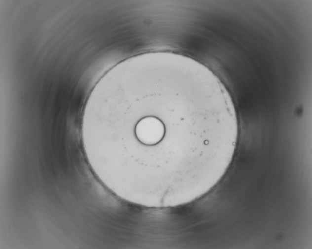 X0000115190810200911251418