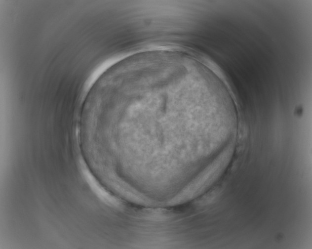 X0000115190811200911251418