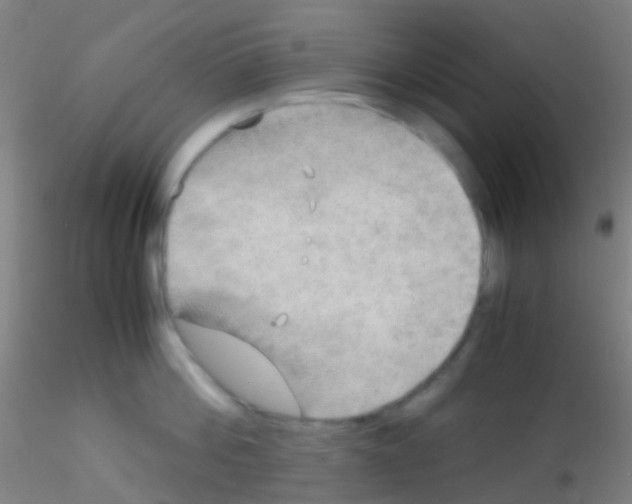 X0000115190812200911251418