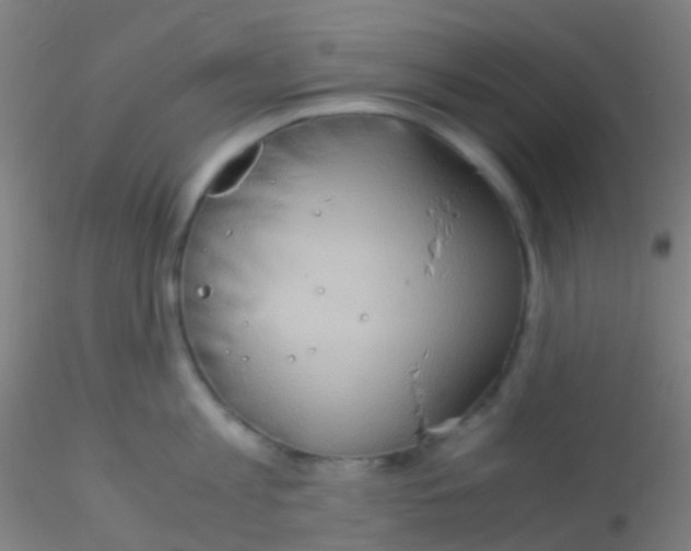 X0000115190813200911251418