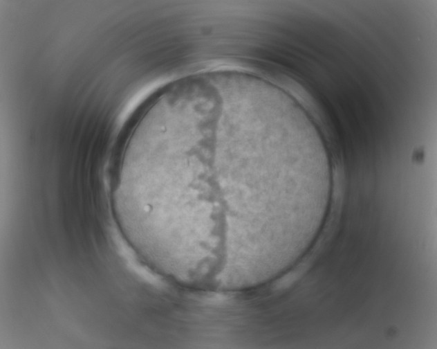 X0000115190814200911251418