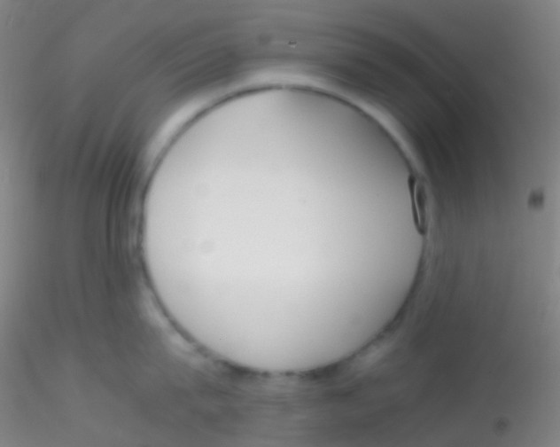 X0000115190815200911251418