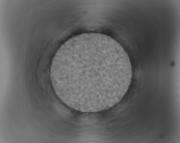 X0000115190817200911251417