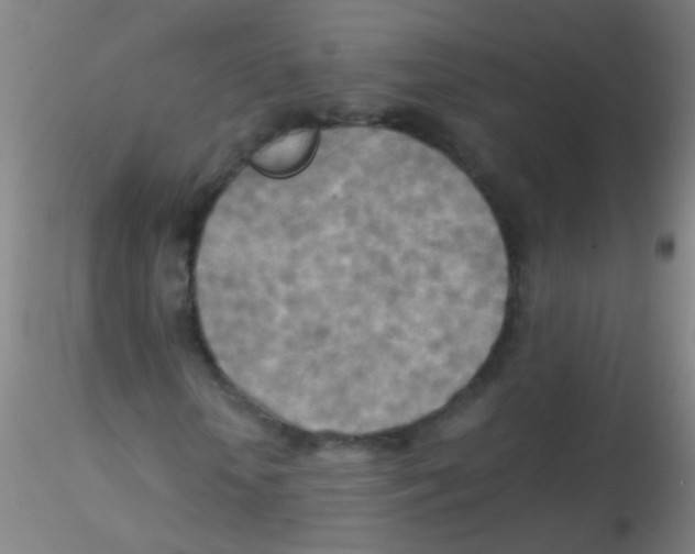 X0000115190818200911251417