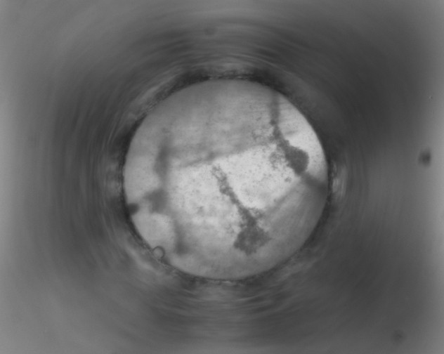 X0000115190819200911251417