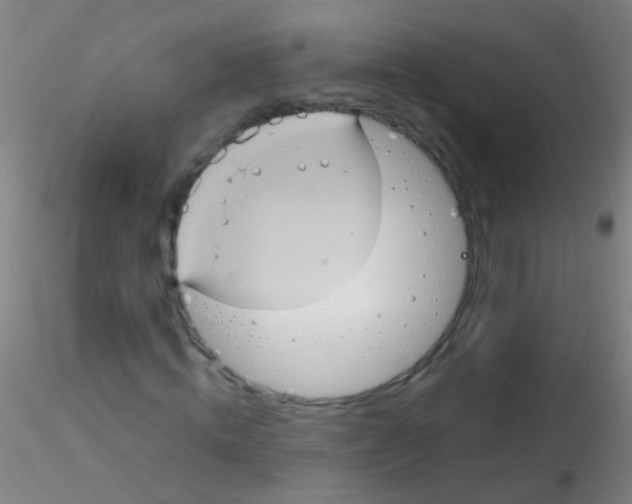 X0000115190820200911251417