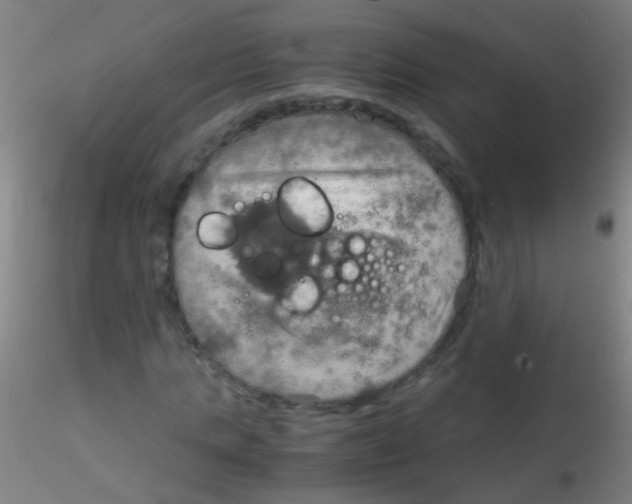 X0000115190821200911251417