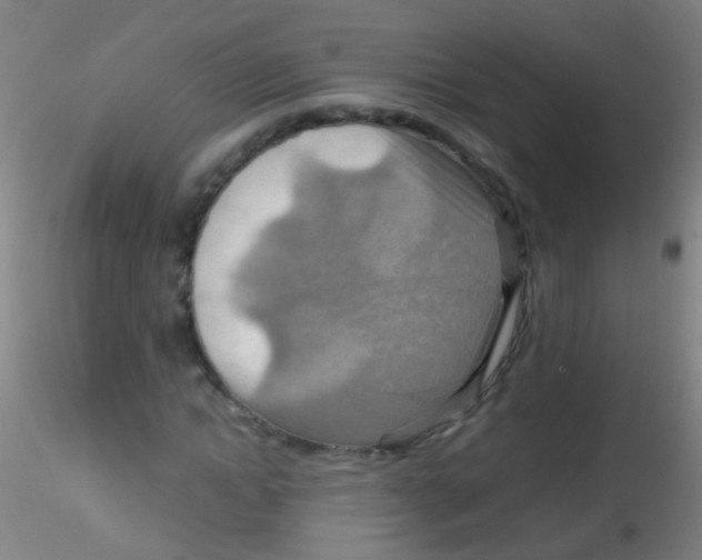 X0000115190822200911251417