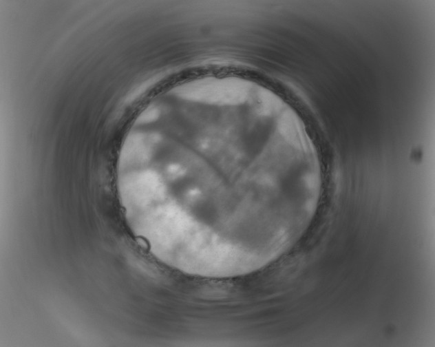 X0000115190823200911251417