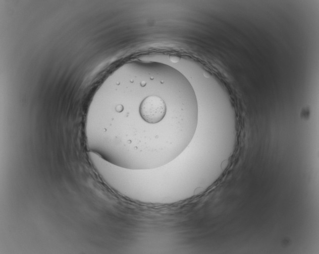 X0000115190824200911251417