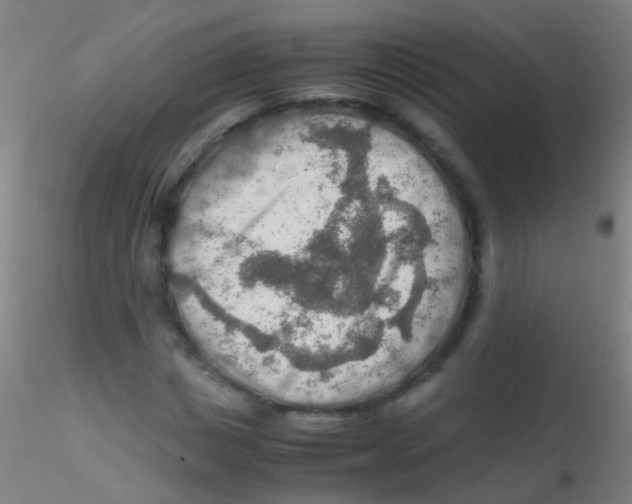 X0000115190825200911251417