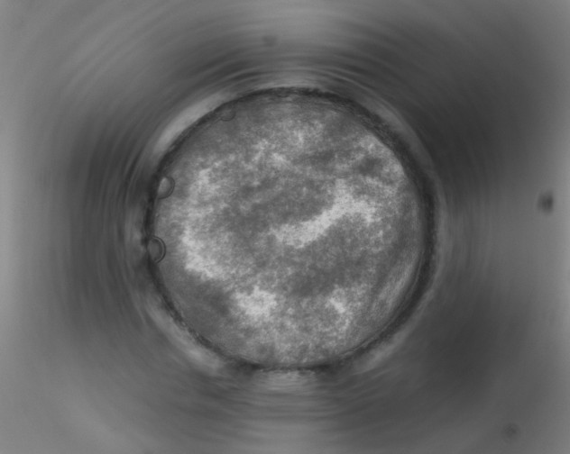 X0000115190826200911251417