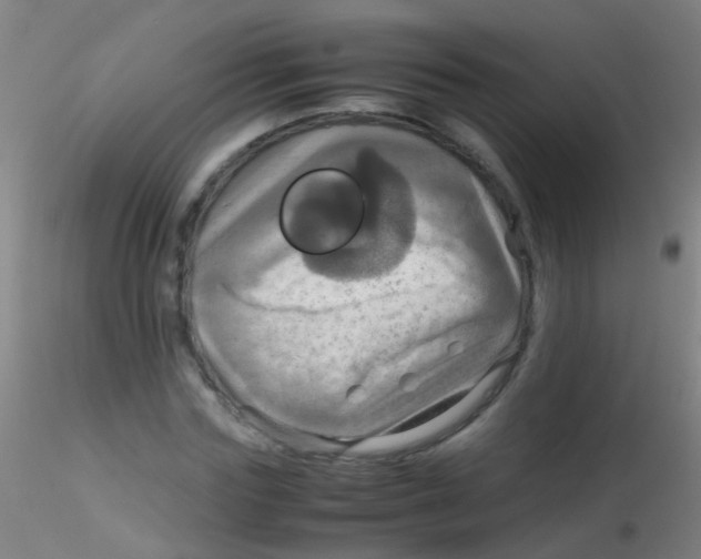 X0000115190827200911251417