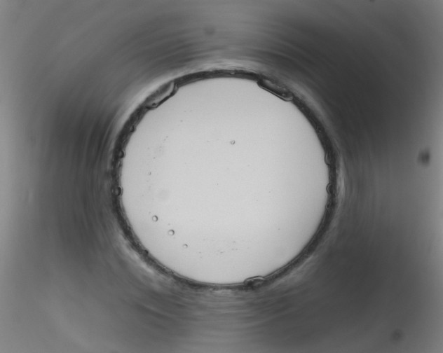 X0000115190828200911251417