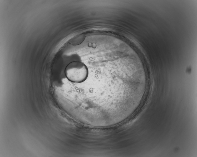 X0000115190829200911251417